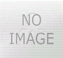 Stationery Collection